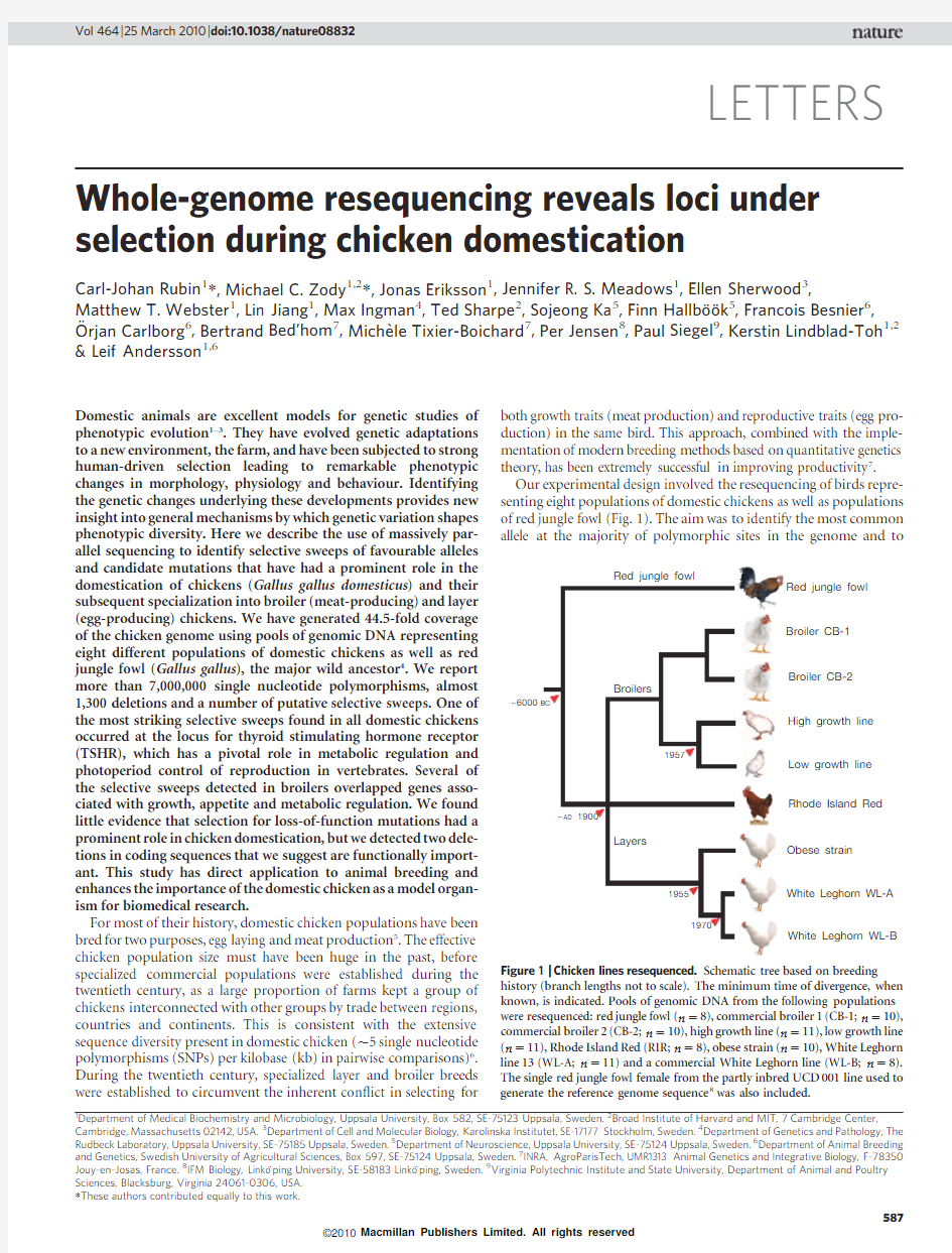 Whole-genome resequencing reveals loci under