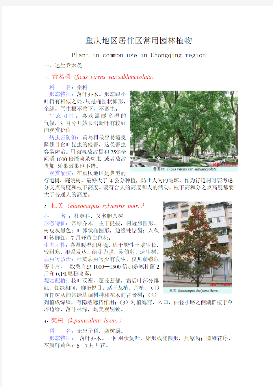 重庆地区居住区常用园林植物