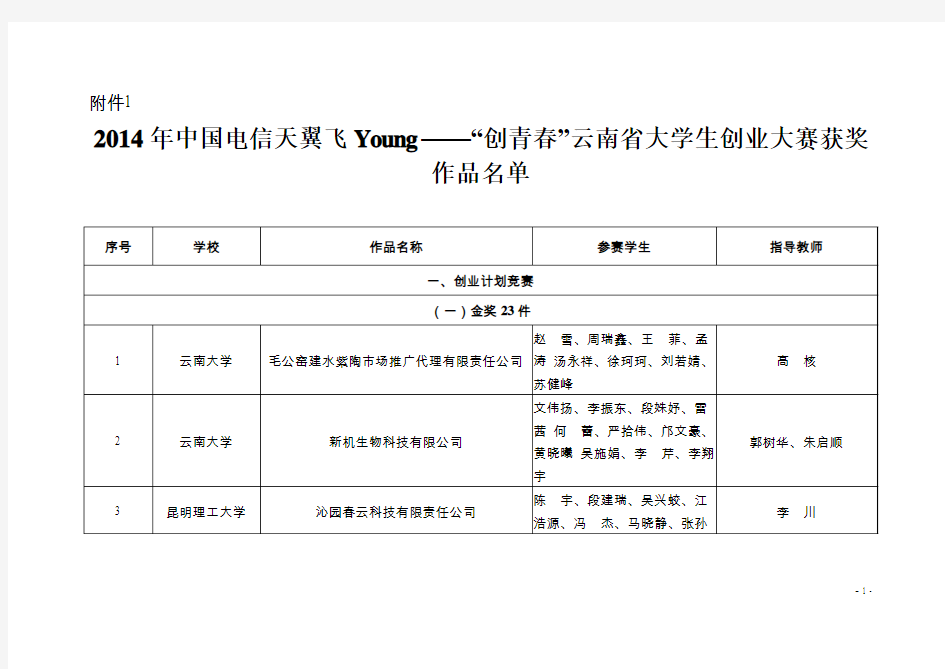 2014年中国电信天翼飞Young——创青春云南大学生创业