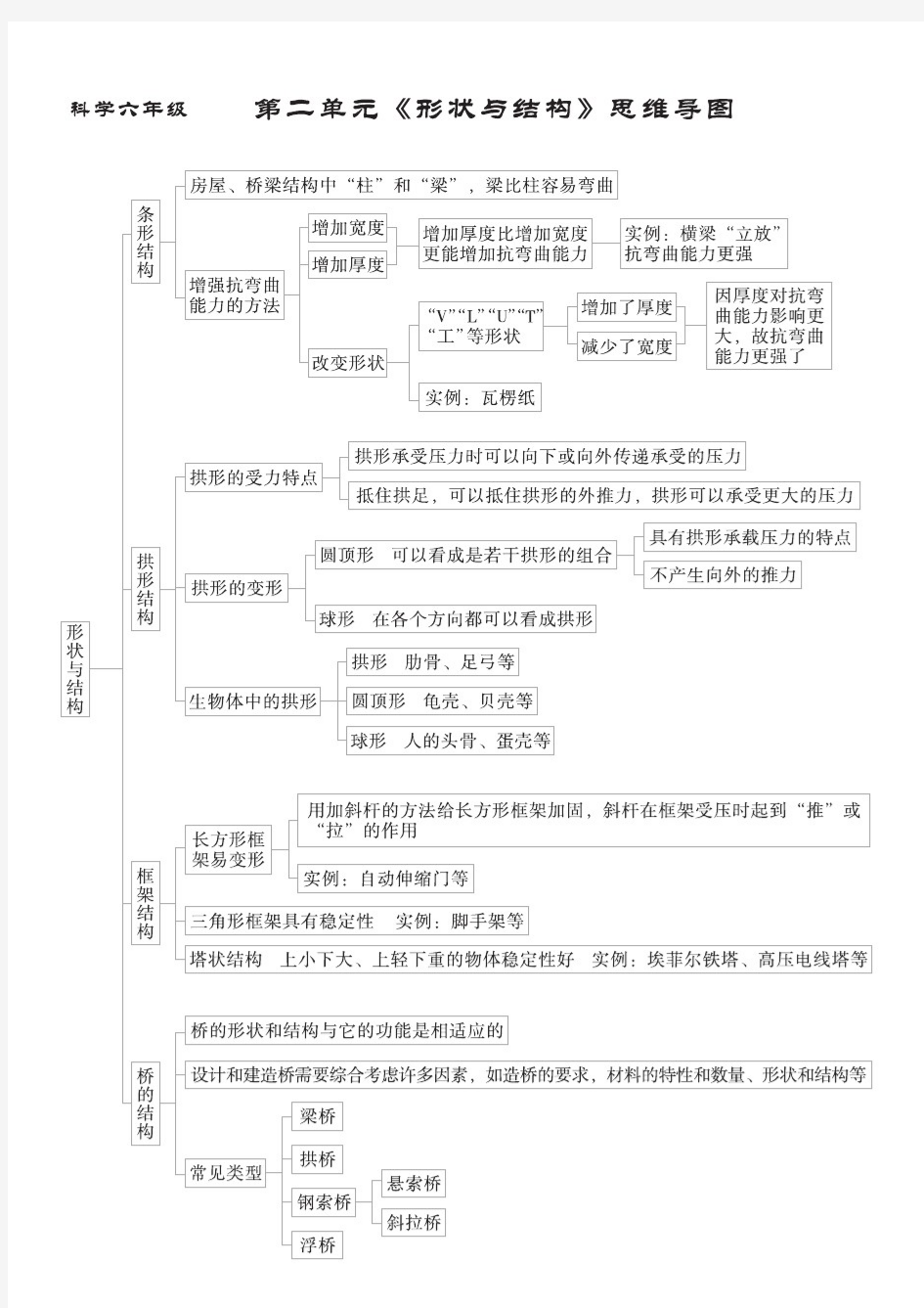 六年级上科学思维导图