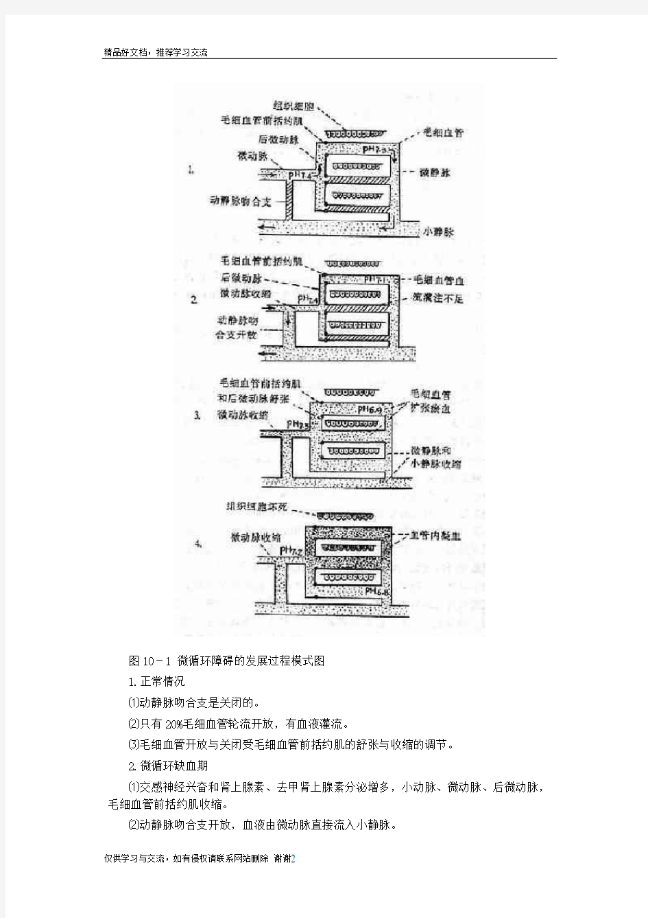 最新休克的病理生理变化