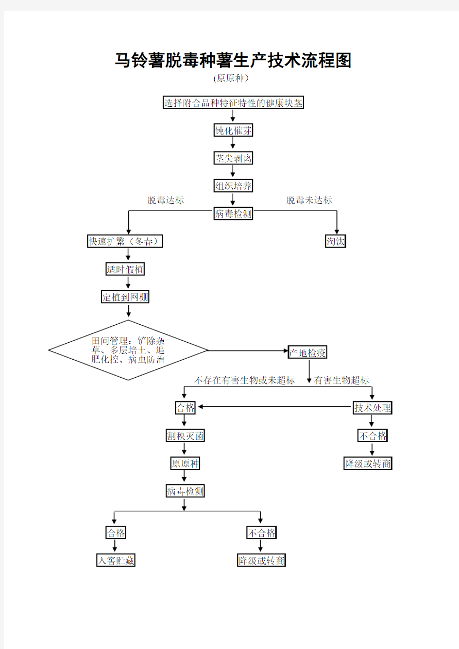 马铃薯脱毒种薯生产流程图