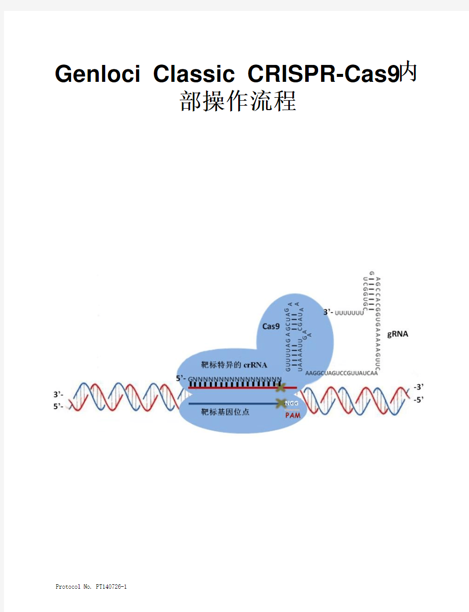CRISPR-Cas9操作流程