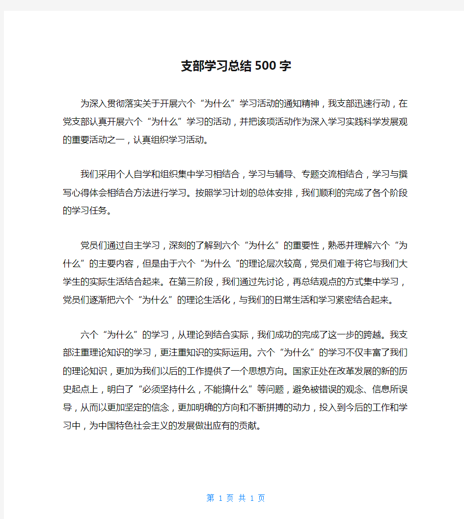 支部学习总结500字