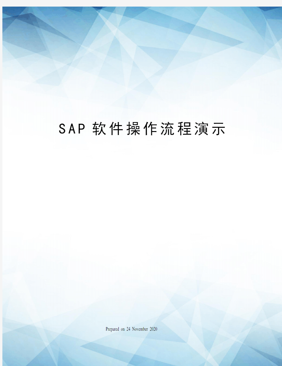 SAP软件操作流程演示