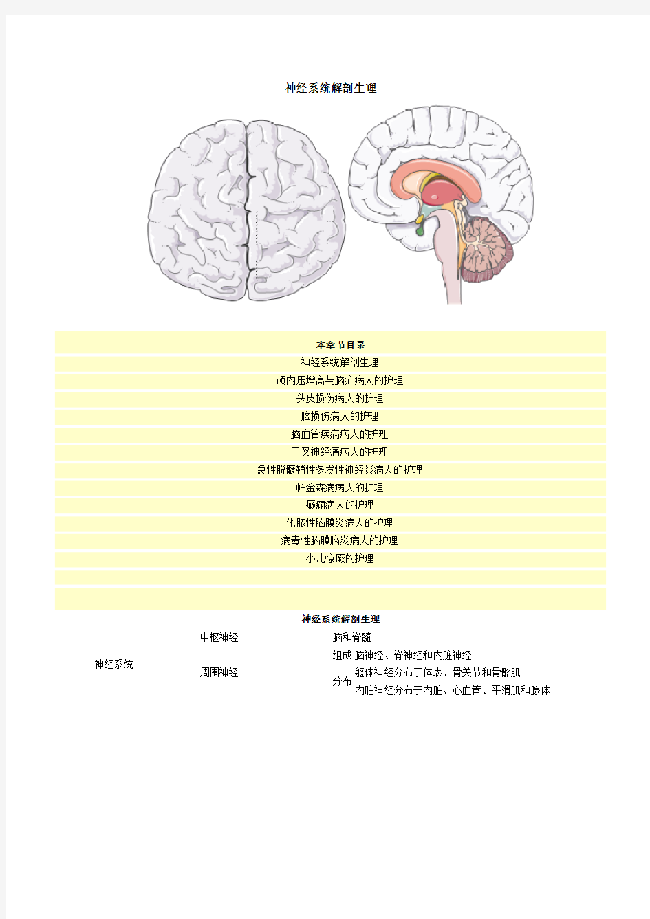 神经系统解剖生理 