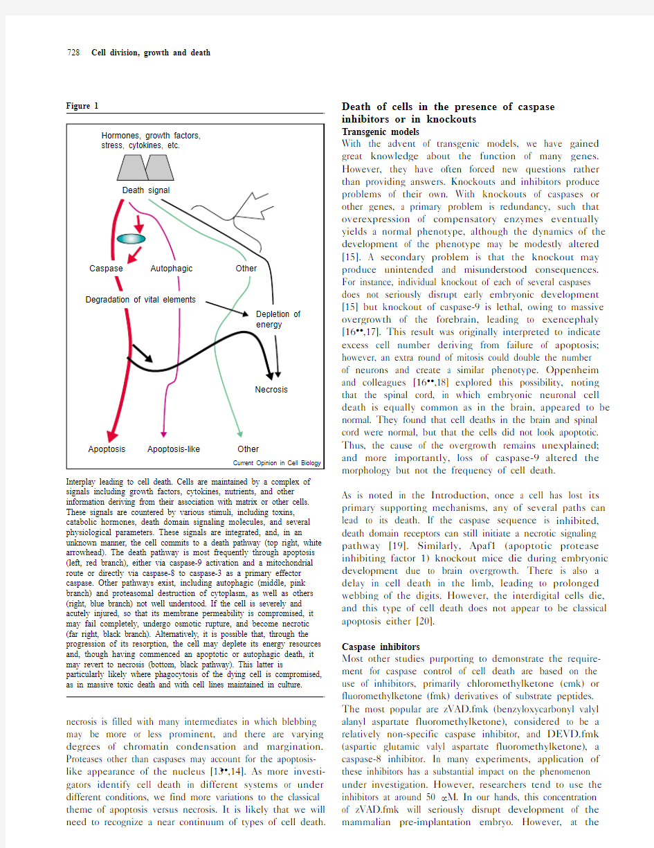 Caspase-independent_cell_deaths.1