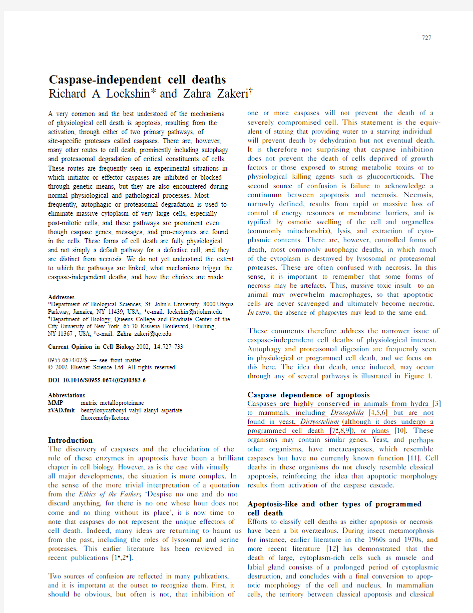 Caspase-independent_cell_deaths.1