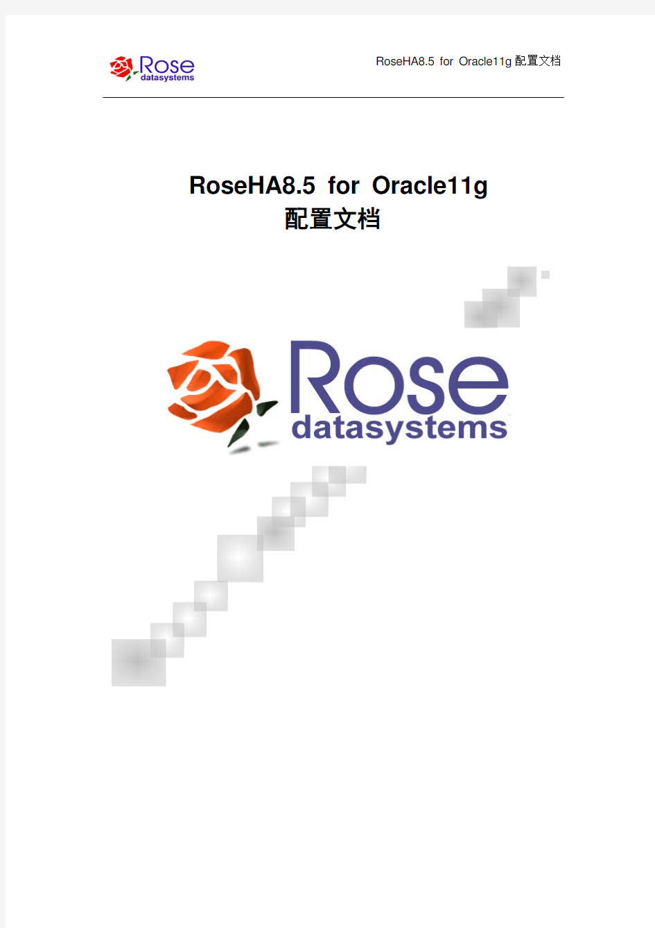 RoseHA8.5 for Windows Oracle11g配置文档_2009-08-05