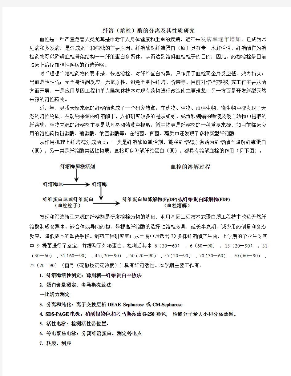 蛋白纯化步骤