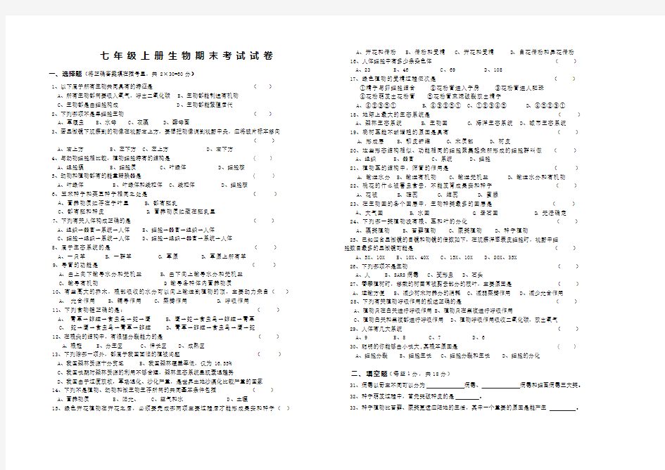 七年级上册生物期末试题