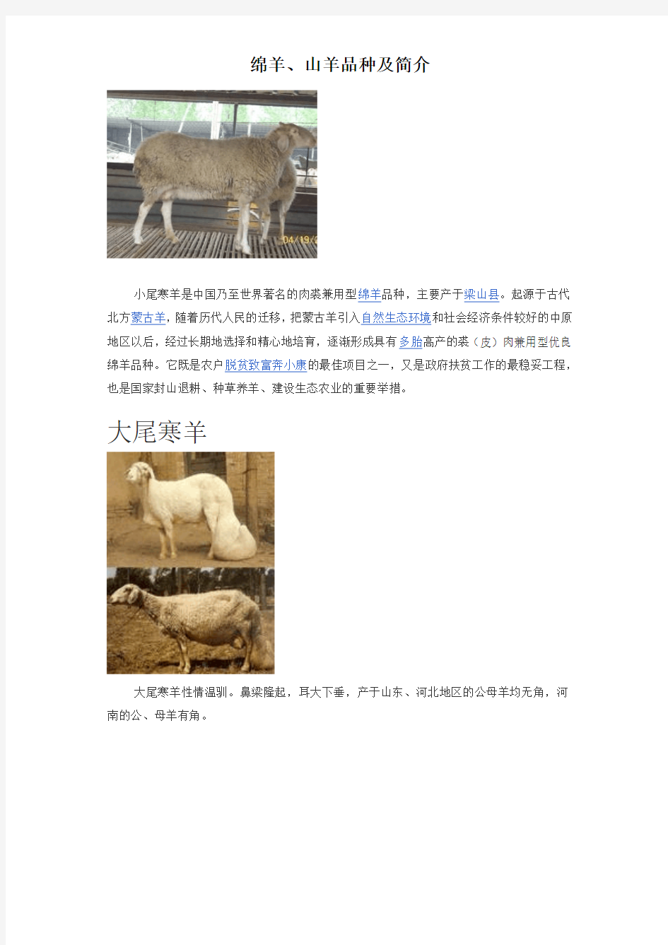 绵羊、山羊品种及简介