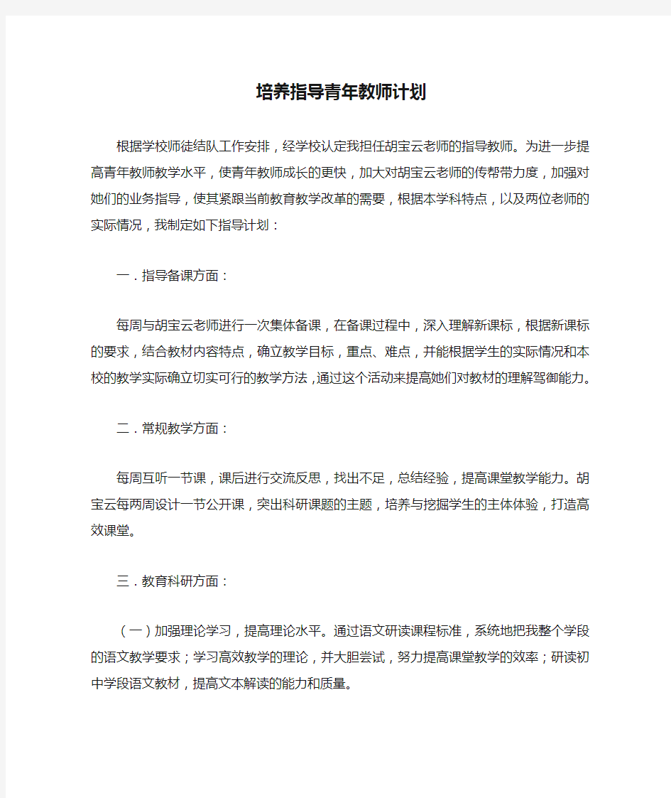 培养指导青年教师计划