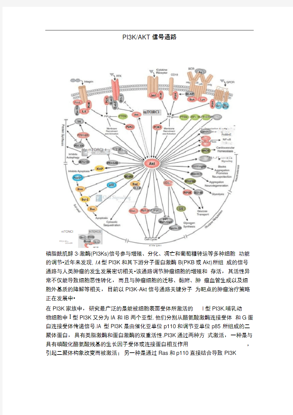 PI3K-AKT信号通路图谱