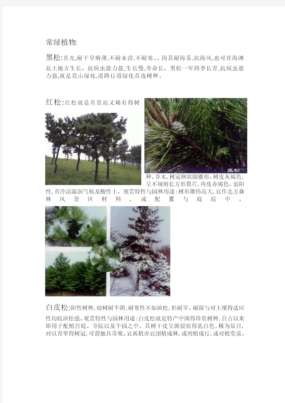 北方常用园林植物汇总