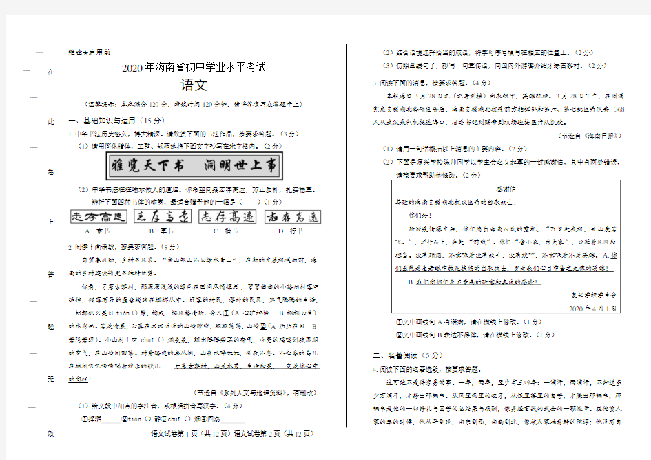 2020年海南省中考语文试卷含答案