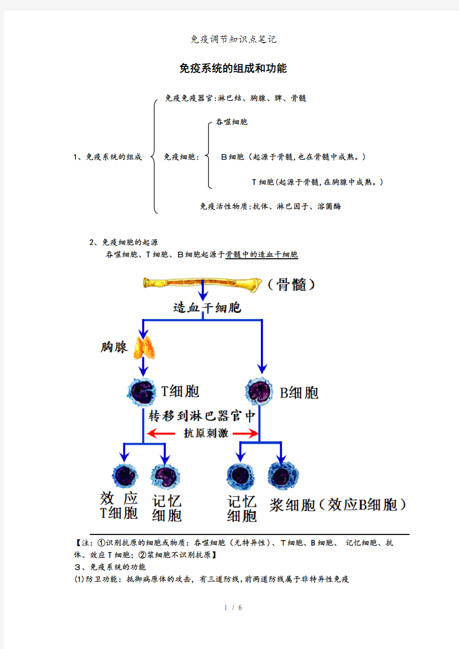 免疫调节知识点笔记