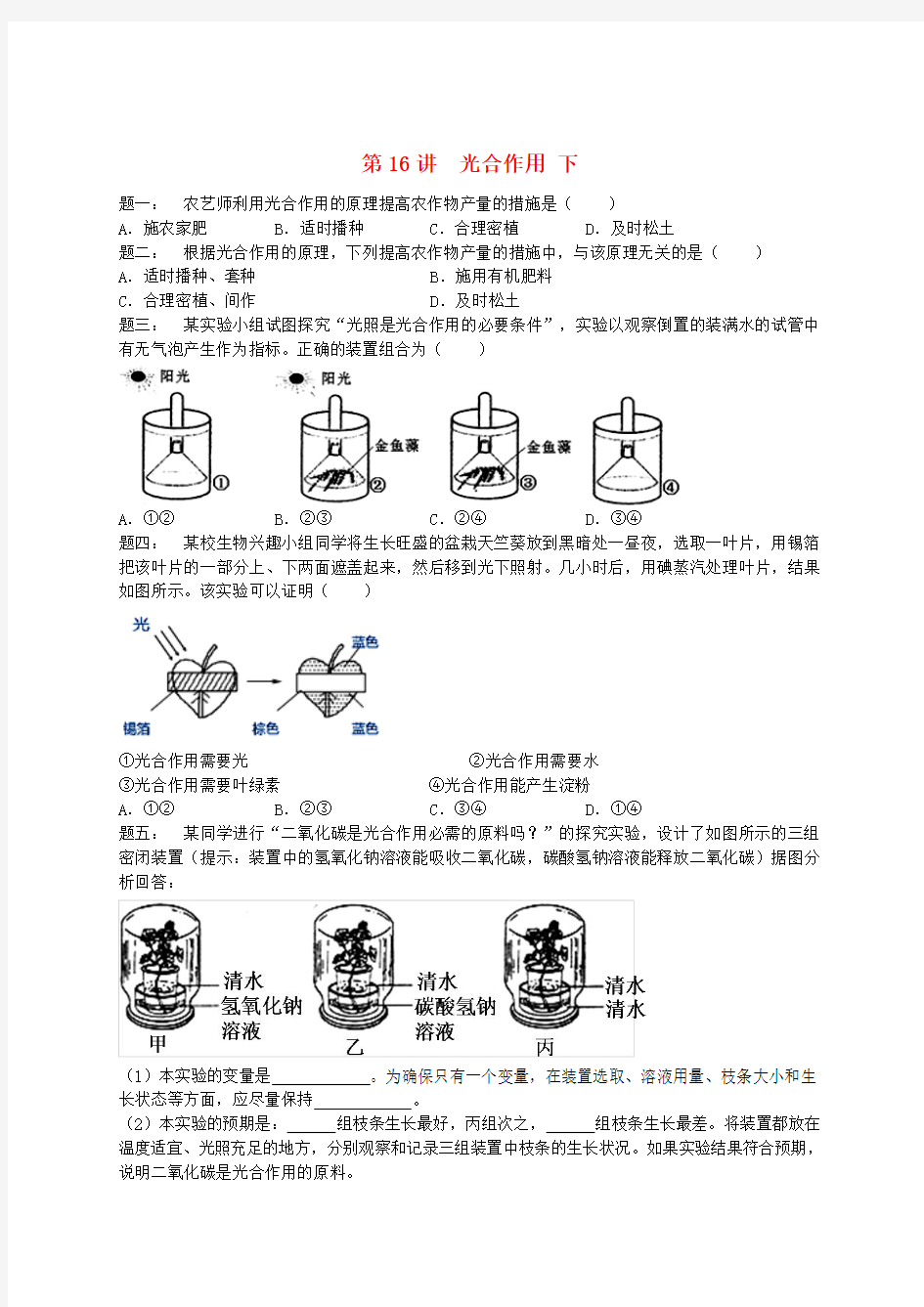 江苏省大丰市七年级生物上册第16讲光合作用下练习苏教版