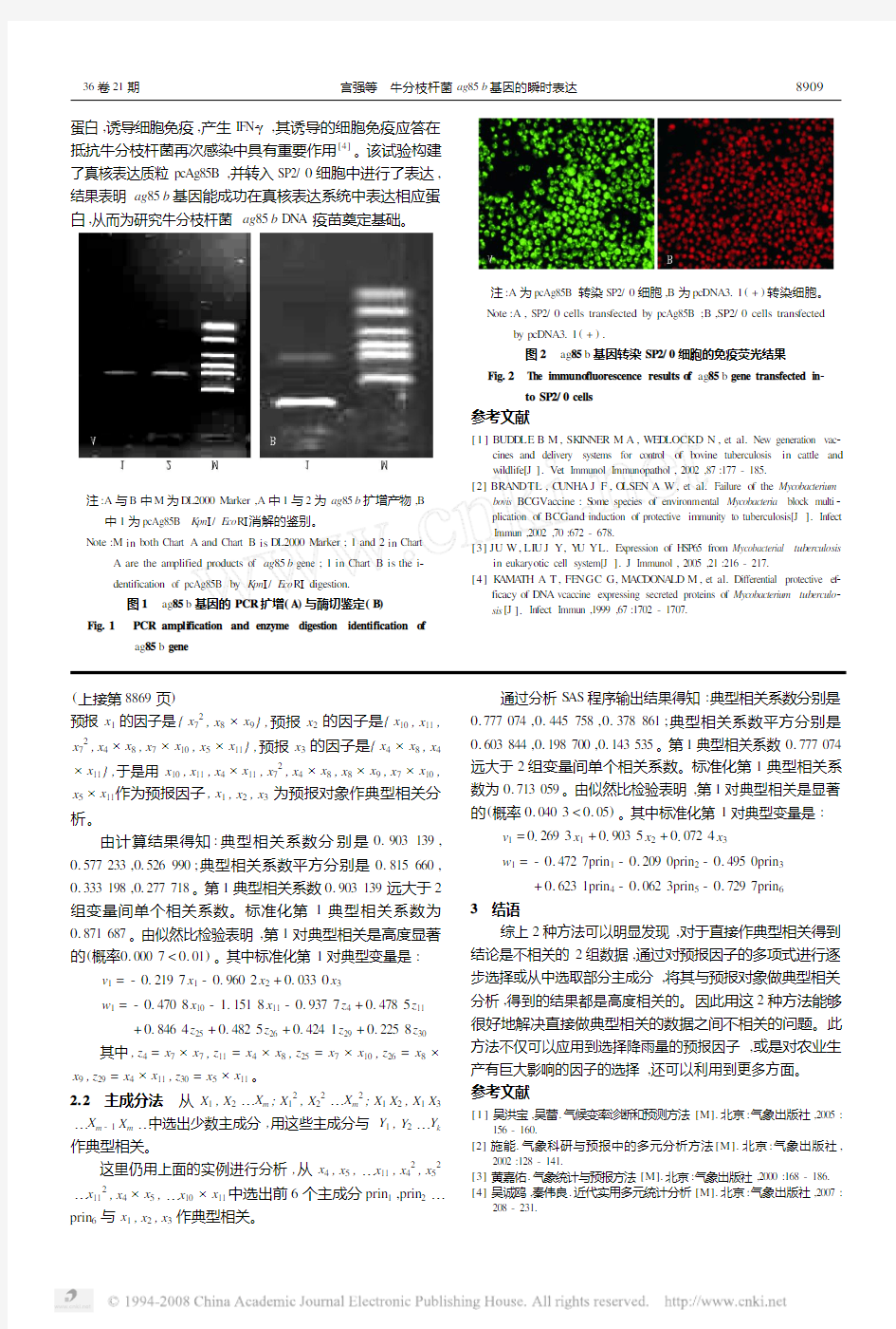 牛分枝杆菌ag85b基因的瞬时表达