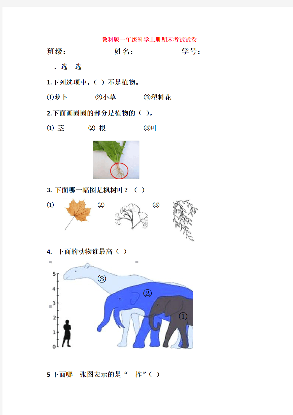 最新教科版一年级科学上册期末考试试卷