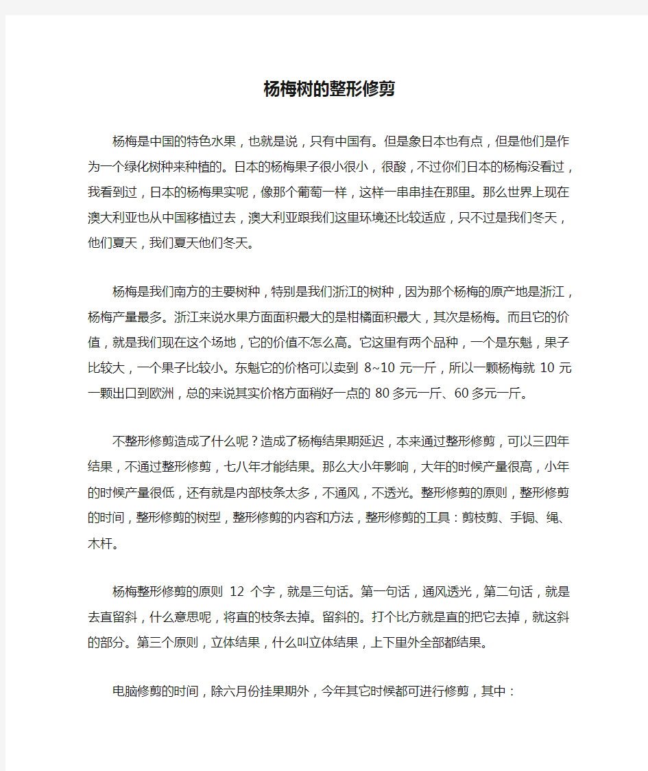 杨梅树的整形修剪