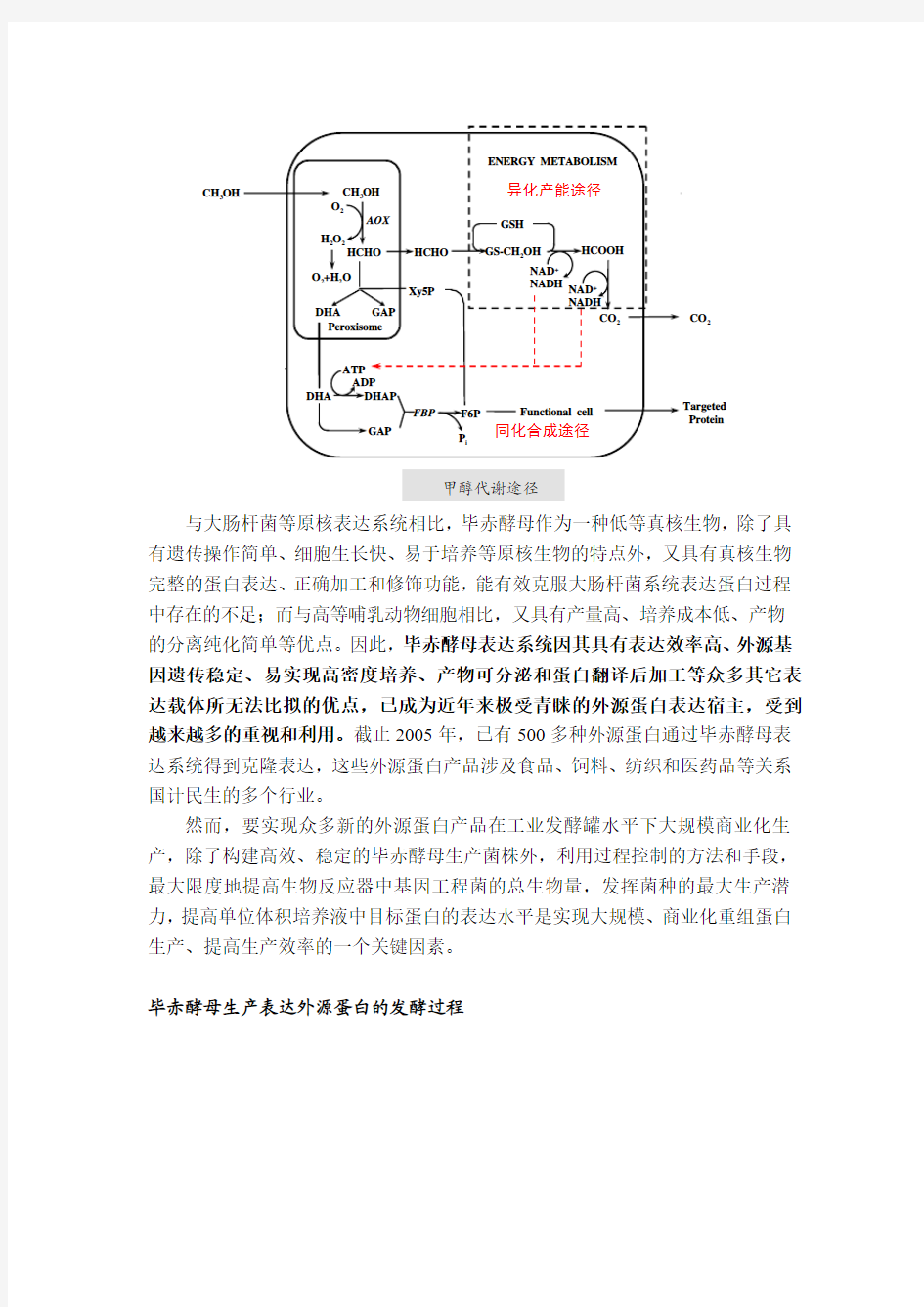 毕赤酵母产木聚糖酶实验方案