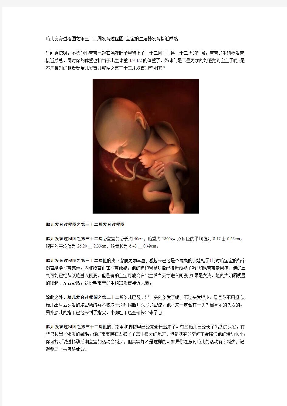 胎儿发育过程图之第三十二周发育过程图