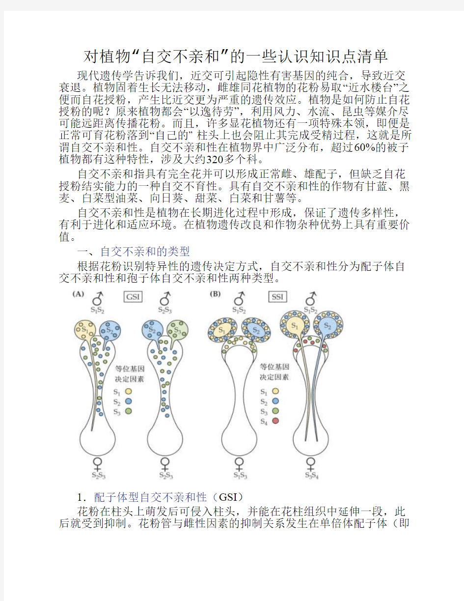 对植物“自交不亲和”的一些认识