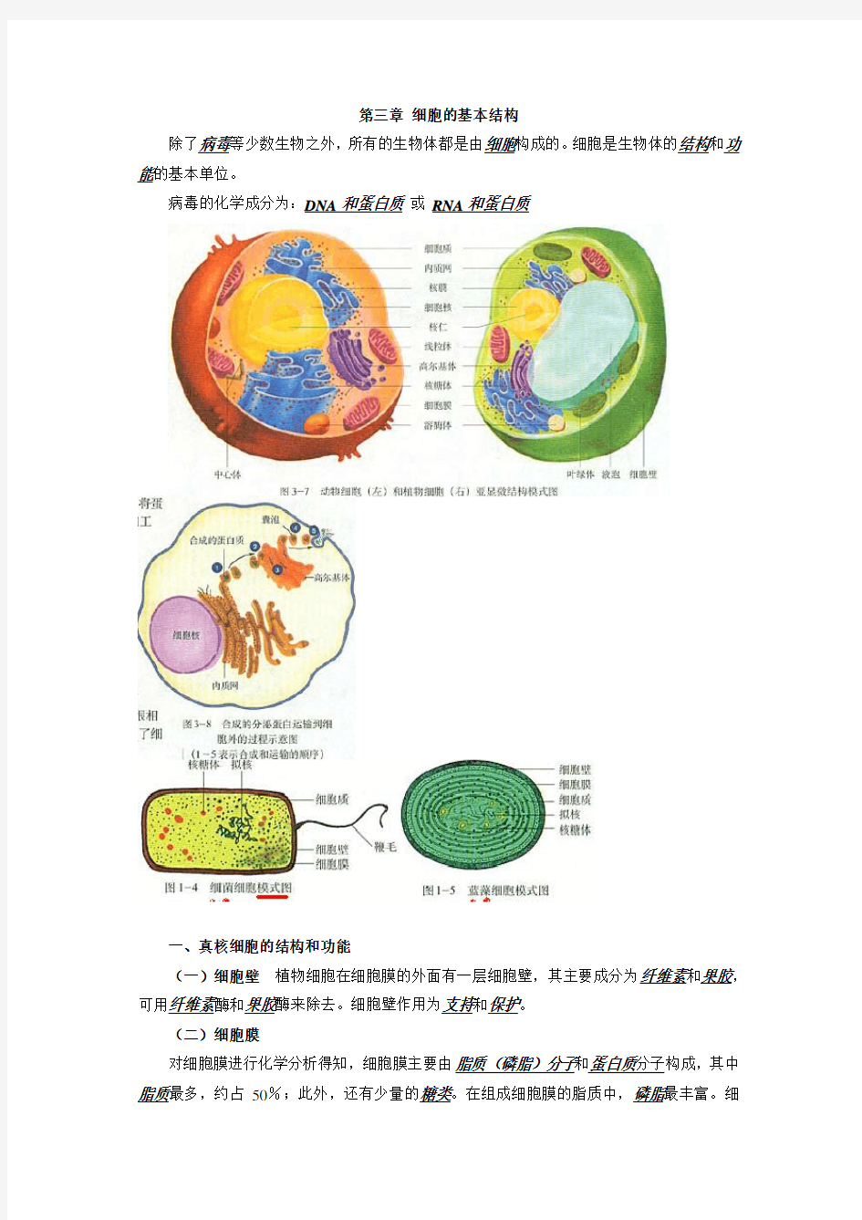 必修一第二章细胞的结构知识点