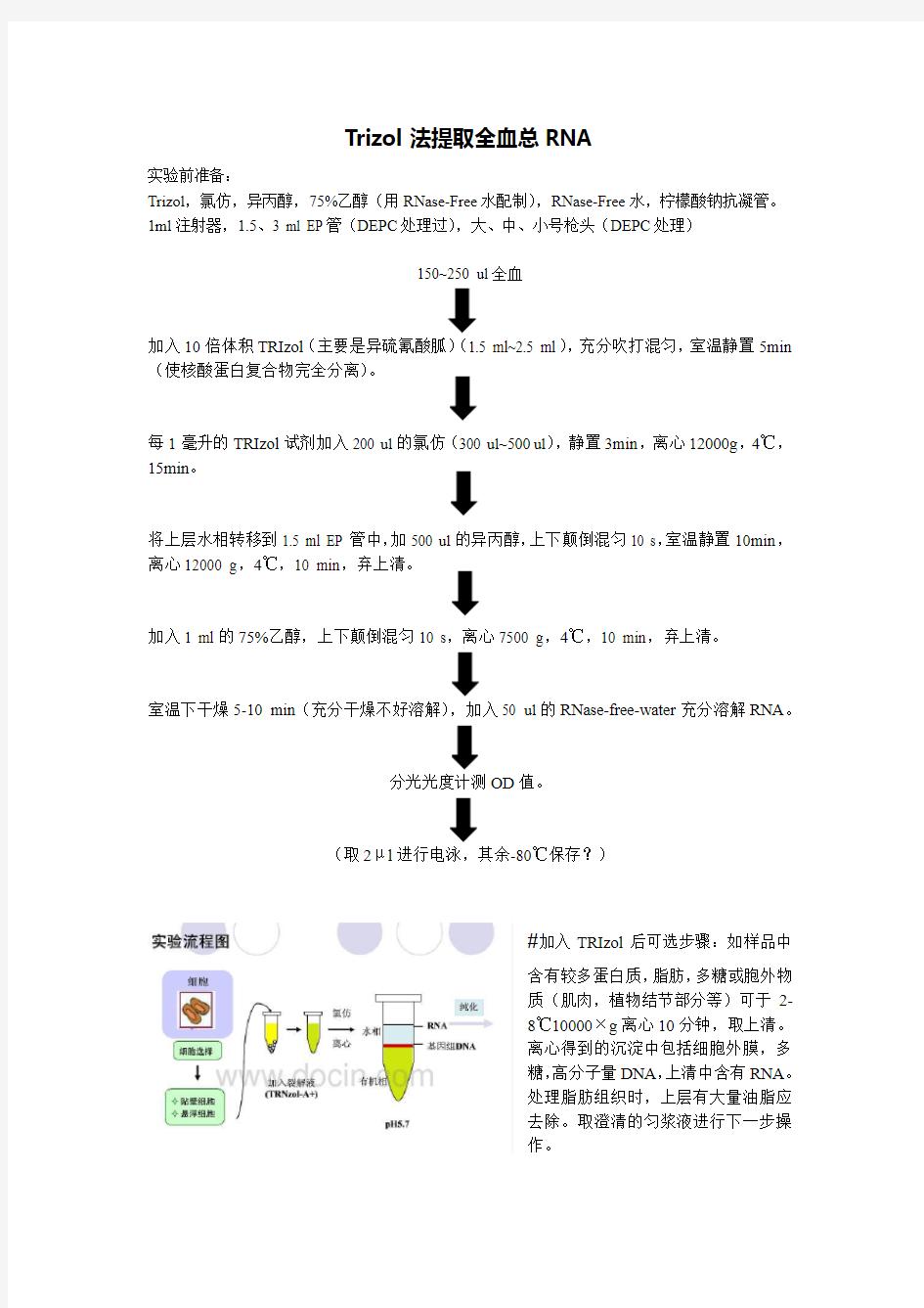 全血RNA提取步骤