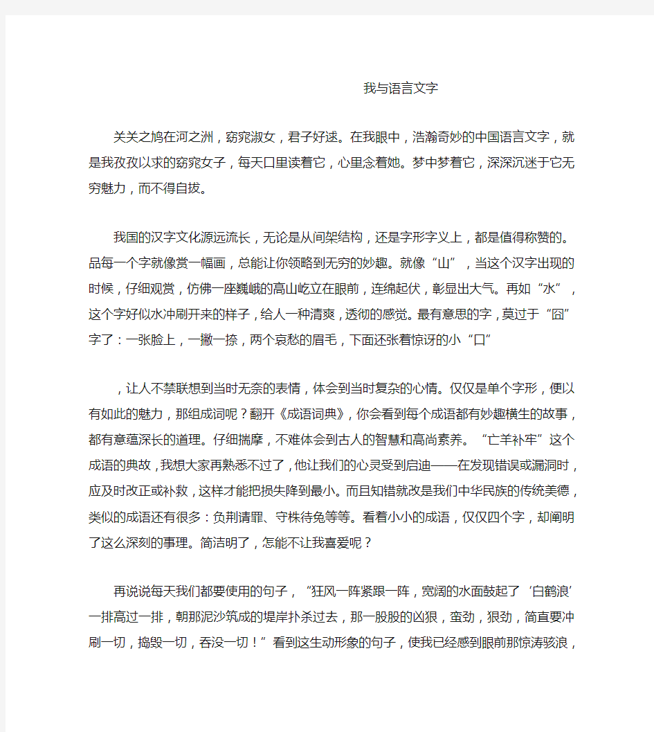 我与语言文字