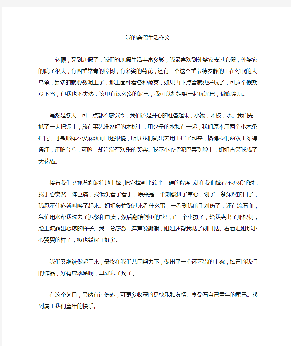 我的寒假生活作文400字