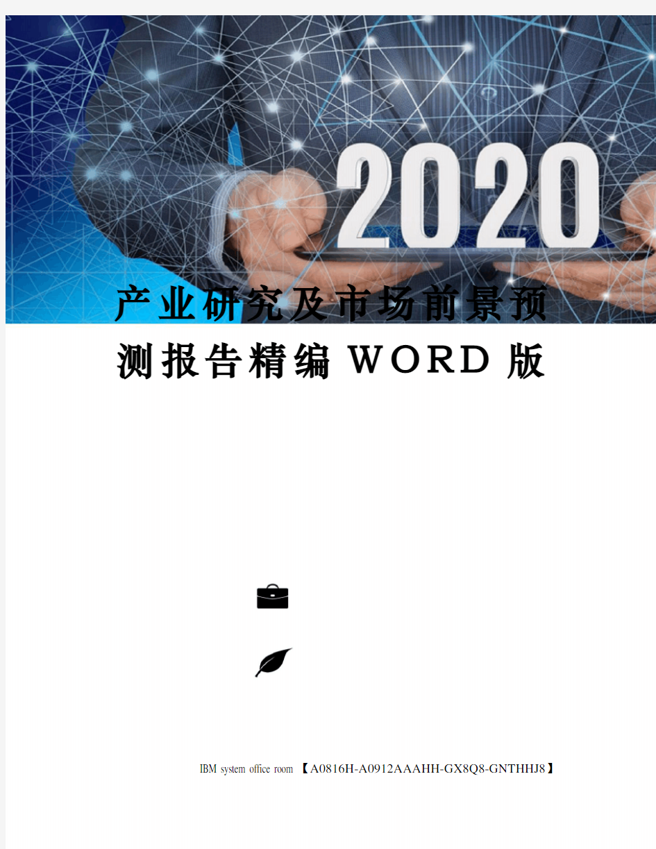 产业研究及市场前景预测报告定稿版