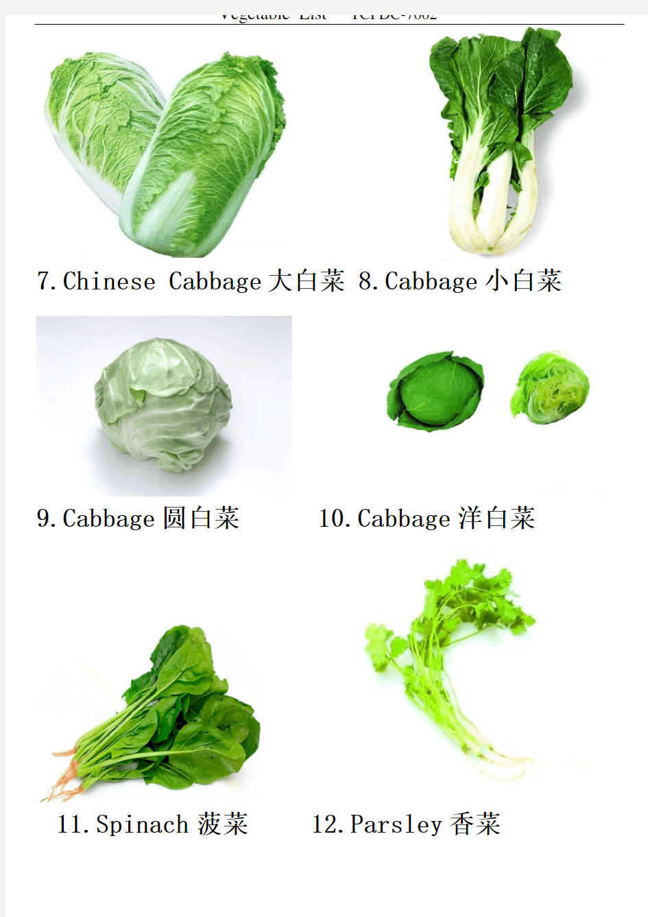 Vegetable pic-list (EN-CN)蔬菜-中英文图片