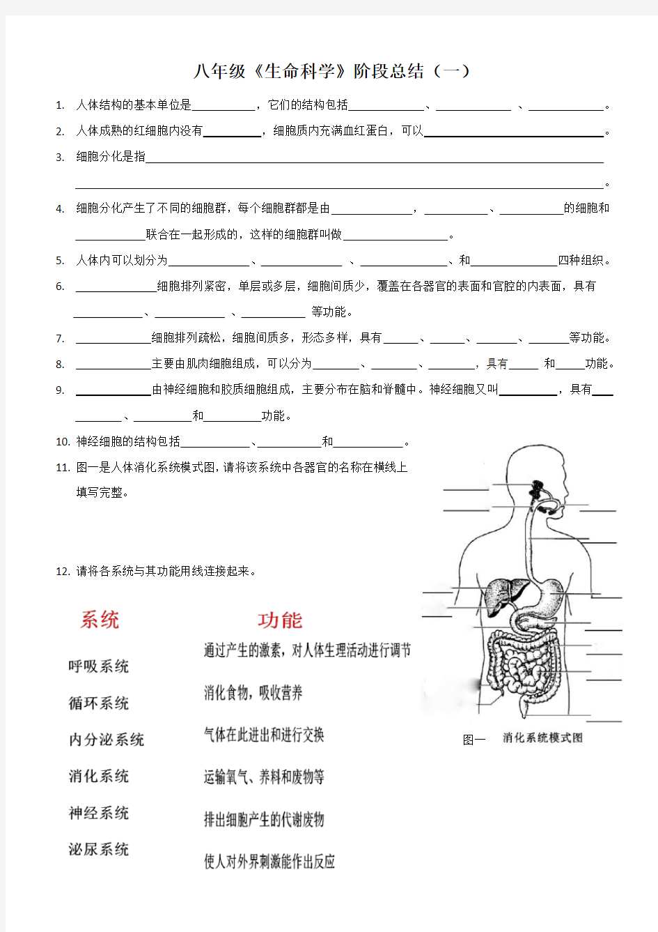 沪教版八年级生命科学阶段性总结(一)