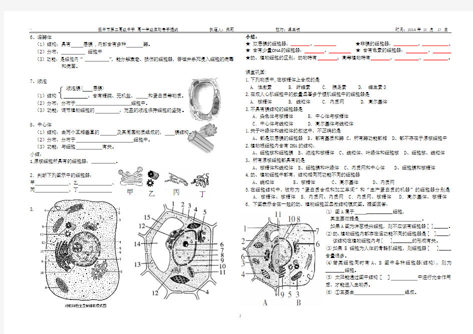 细胞器-系统内的分工合作