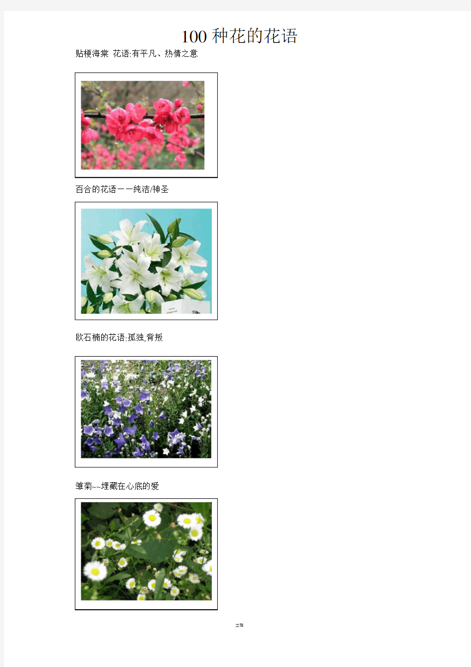 100种花的花语和图片