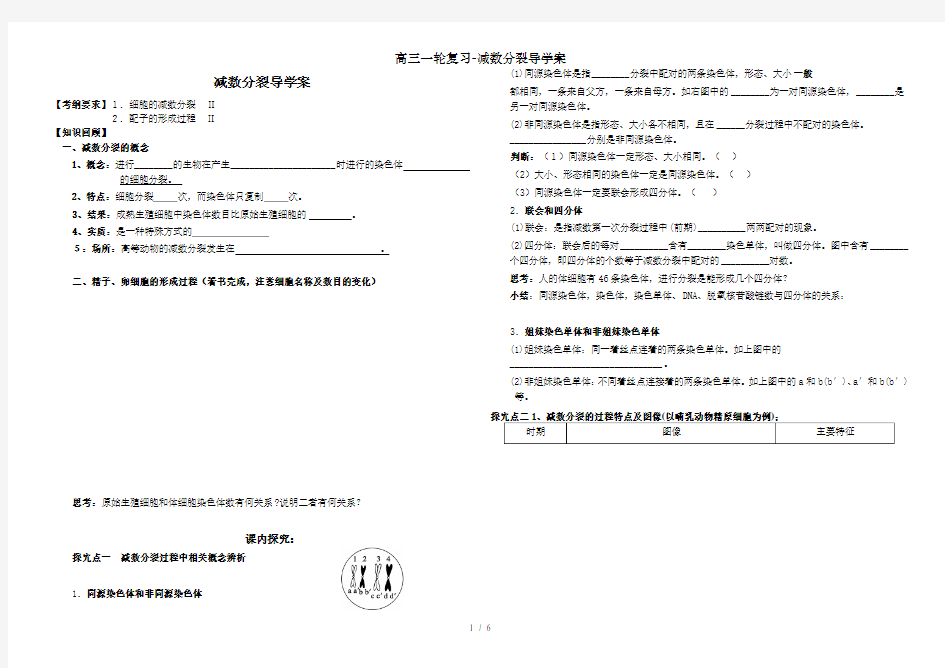 高三一轮复习-减数分裂导学案