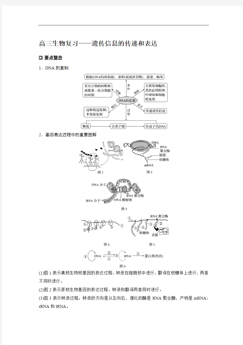 高三生物复习——遗传信息的传递和表达