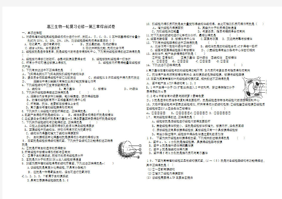 高中生物必修一第三章练习题及答案