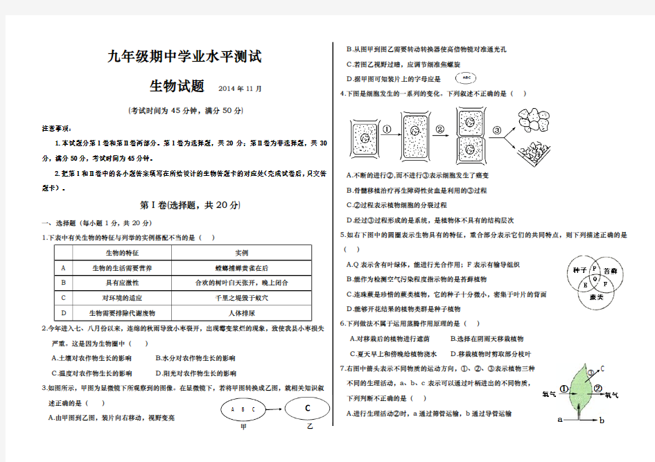 九年级上学期期中试题