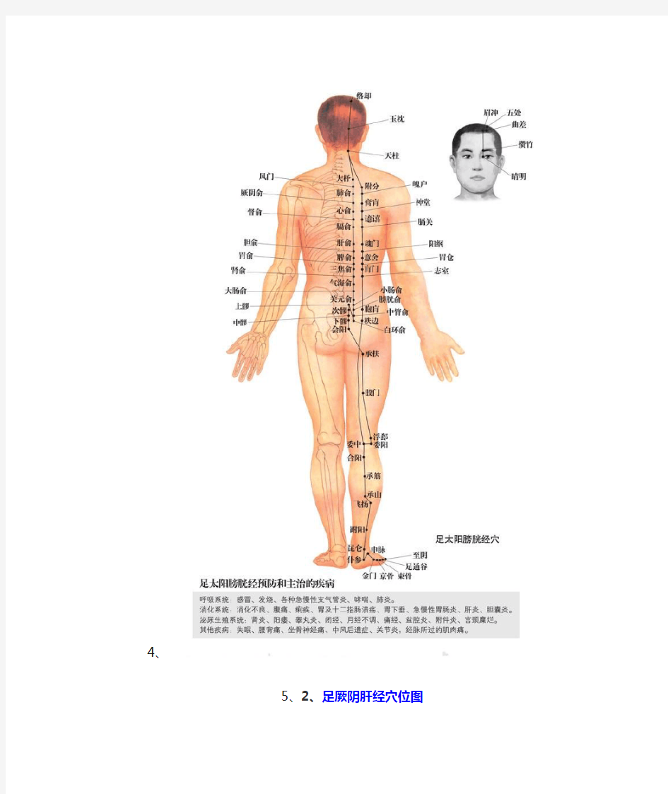 男性人体穴位图：十四经穴高清图解.