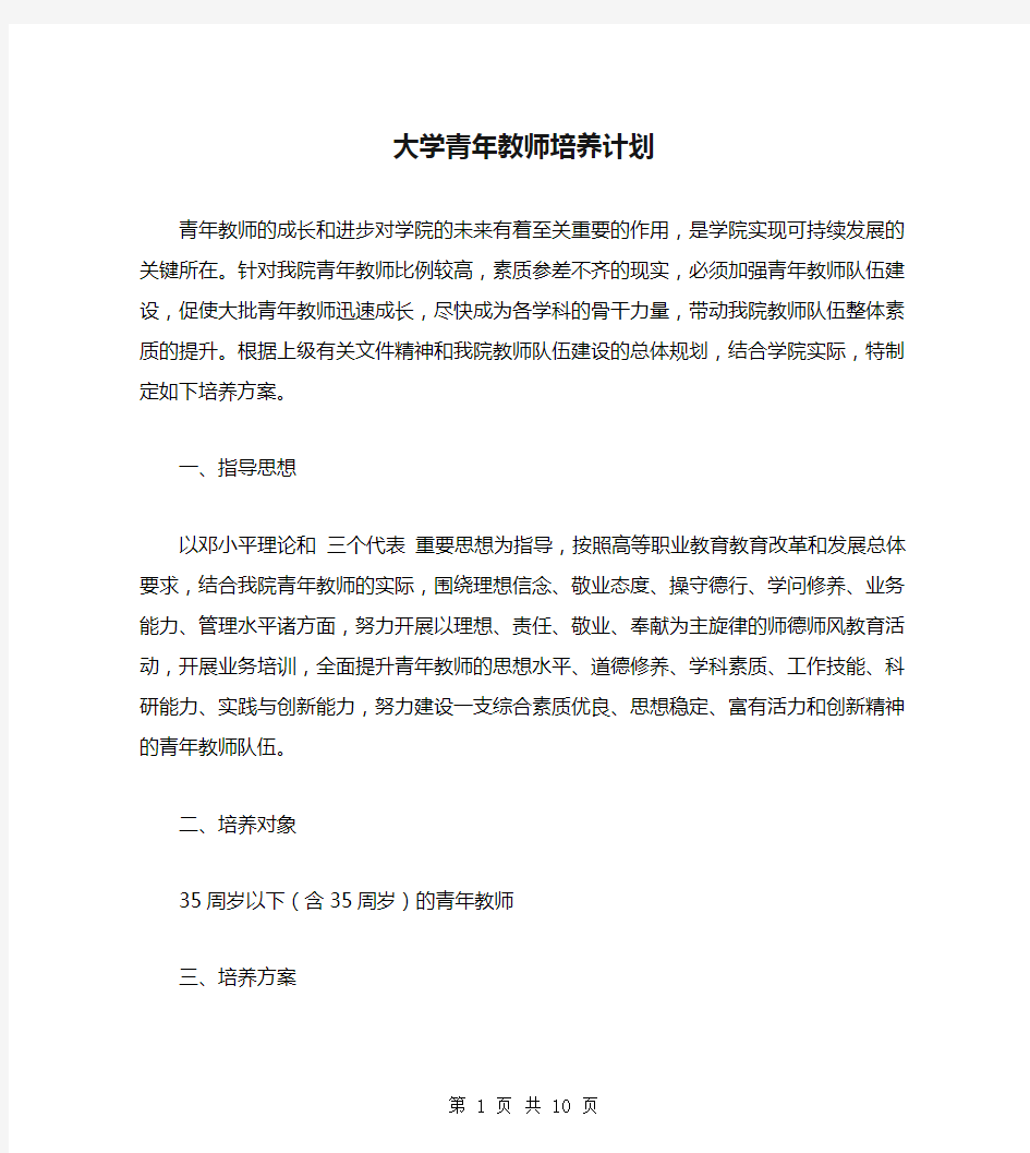 大学青年教师培养计划