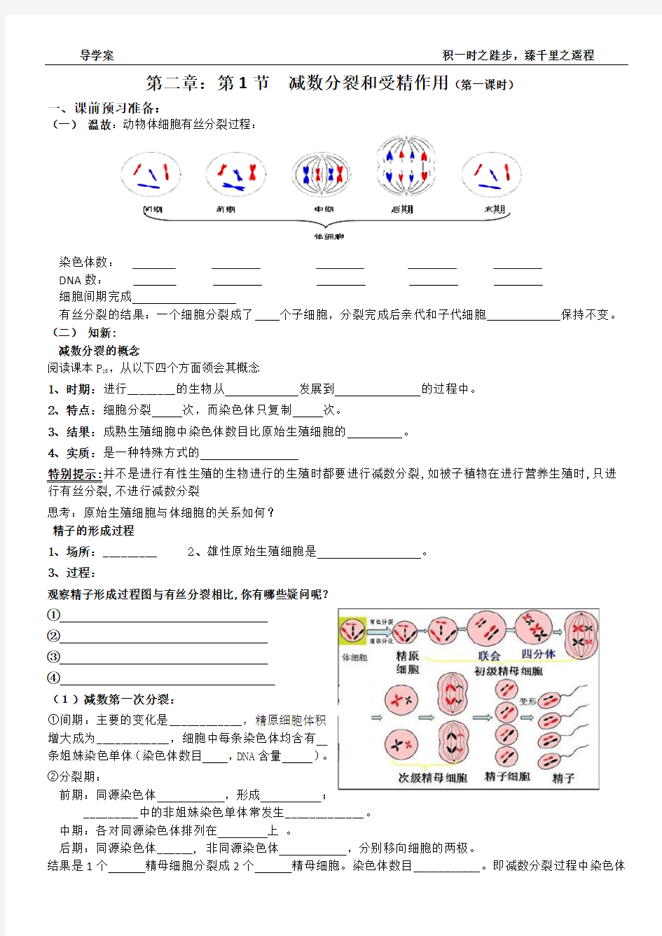 (完整版)减数分裂导学案