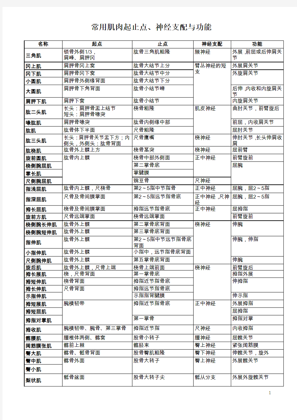 肌肉起止点神经支配及功能