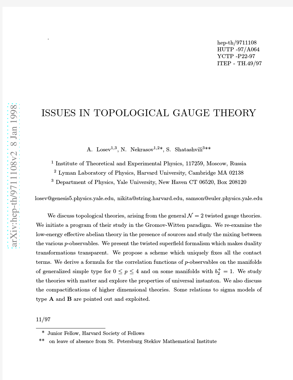 Issues in Topological Gauge Theory
