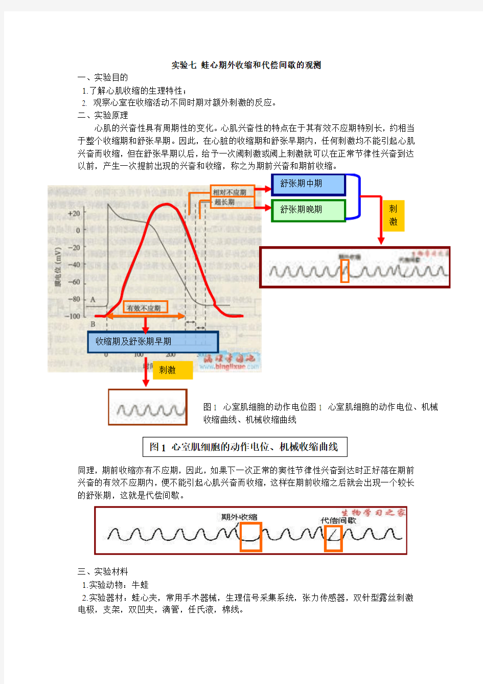 实验七 蛙心期外收缩和代偿间歇的观测 084120003陈明辉