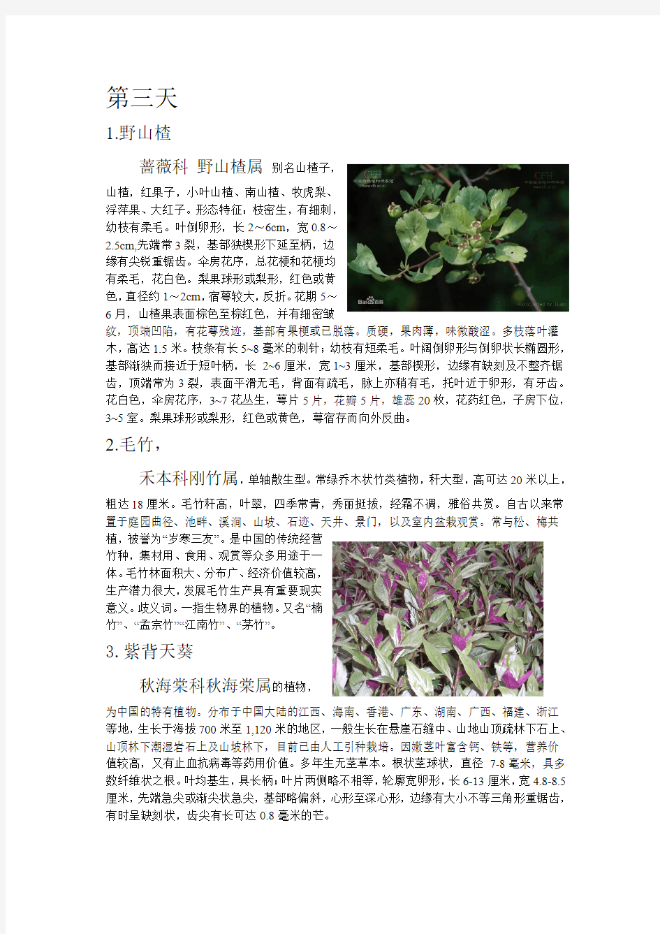 宝华山植物简介