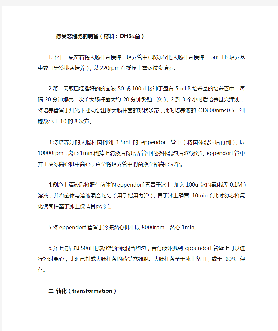 感受态细胞制备及转化步骤