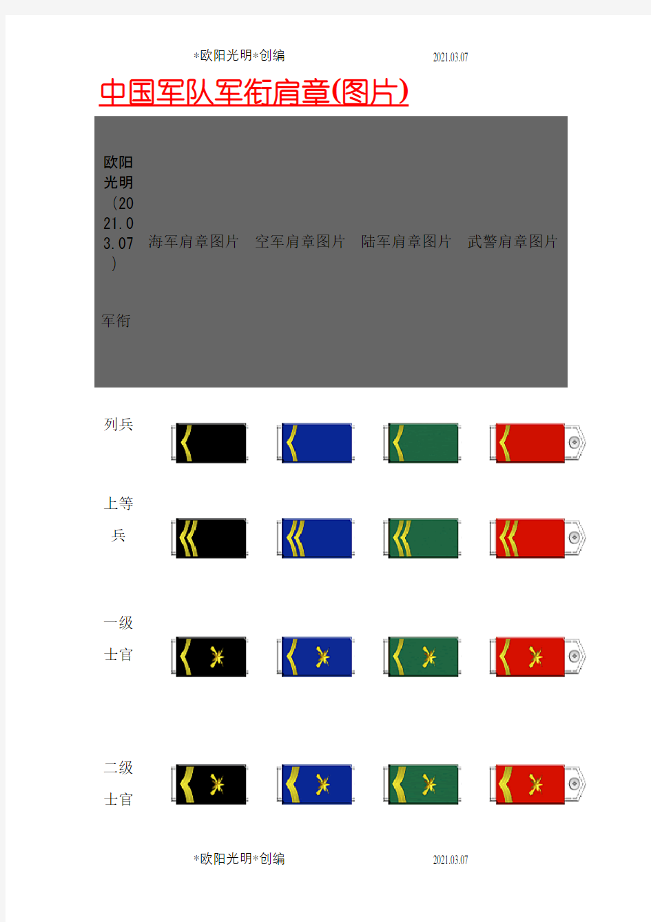 2021年中国军队军衔肩章(图片)